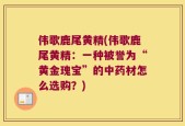 伟歌鹿尾黄精(伟歌鹿尾黄精：一种被誉为“黄金瑰宝”的中药材怎么选购？)