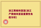 浙江黄精块茎苗(浙江产黄精块茎苗重要性角度分析)