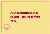 枸杞黄精桑埴(枸杞黄精桑埴：提升免疫力的良方)