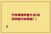 竹林黄精种植方法(如何种植竹林黄精？)