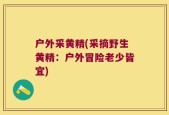 户外采黄精(采摘野生黄精：户外冒险老少皆宜)