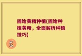 固始黄精种植(固始种植黄精，全面解析种植技巧)