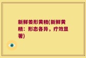 新鲜姜形黄精(新鲜黄精：形态各异，疗效显著)