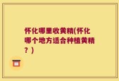 怀化哪里收黄精(怀化哪个地方适合种植黄精？)