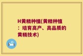 H黄精种植(黄精种植：培育高产、高品质的黄精技术)