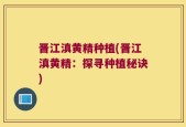 晋江滇黄精种植(晋江滇黄精：探寻种植秘诀)