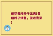催芽黄精种子出售(黄精种子销售，促进发芽)