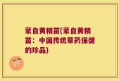 蒙自黄精苗(蒙自黄精苗：中国传统草药保健的珍品)