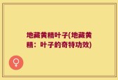 地藏黄精叶子(地藏黄精：叶子的奇特功效)
