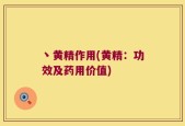 丶黄精作用(黄精：功效及药用价值)