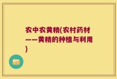 农中农黄精(农村药材——黄精的种植与利用)