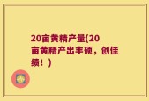 20亩黄精产量(20亩黄精产出丰硕，创佳绩！)