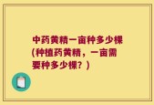中药黄精一亩种多少棵(种植药黄精，一亩需要种多少棵？)