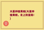 大量种植黄精(大量种植黄精，走上致富路！)