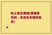 树上寄生黄精(黄精寄生树，生态关系错综复杂)