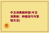 中卫滇黄精种苗(中卫滇黄精：种植技巧与繁殖方法)