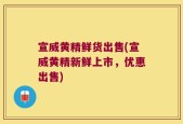 宣威黄精鲜货出售(宣威黄精新鲜上市，优惠出售)