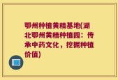鄂州种植黄精基地(湖北鄂州黄精种植园：传承中药文化，挖掘种植价值)