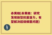 赤黄精(赤黄精：研究发现新型抗菌潜力，有望解决超级细菌问题)