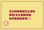 东北种植黄精怎么用除黄剂(东北黄精种植：如何使用除草剂？)