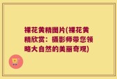 裸花黄精图片(裸花黄精欣赏：摄影师带您领略大自然的美丽奇观)