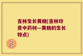 吉林生长黄精(吉林珍贵中药材—黄精的生长特点)