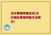 汶川黄精种植技术(汶川地区黄精种植方法简介)