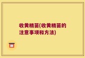 收黄精苗(收黄精苗的注意事项和方法)