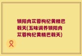锁阳肉苁蓉枸杞黄精巴戟天(五味调养锁阳肉苁蓉枸杞黄精巴戟天)