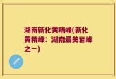 湖南新化黄精峰(新化黄精峰：湖南最美岩峰之一)