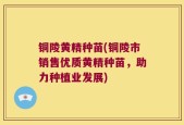 铜陵黄精种苗(铜陵市销售优质黄精种苗，助力种植业发展)