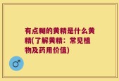 有点糊的黄精是什么黄精(了解黄精：常见植物及药用价值)