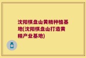 沈阳棋盘山黄精种植基地(沈阳棋盘山打造黄精产业基地)