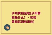 泸州黄精是啥(泸州黄精是什么？ - 知晓黄精起源和用途)