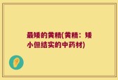 最矮的黄精(黄精：矮小但结实的中药材)