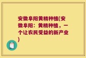 安徽阜阳黄精种植(安徽阜阳：黄精种植，一个让农民受益的新产业)
