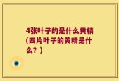 4张叶子的是什么黄精(四片叶子的黄精是什么？)