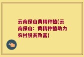 云南保山黄精种植(云南保山：黄精种植助力农村脱贫致富)