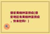 德宏黄精种苗供应(德宏地区有黄精种苗供应，快来抢购！)