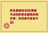 野生黄精和当归(黄精与当归的草本植物共同作用：天然调节身体不适)