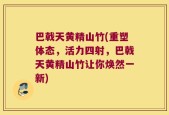 巴戟天黄精山竹(重塑体态，活力四射，巴戟天黄精山竹让你焕然一新)