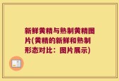 新鲜黄精与熟制黄精图片(黄精的新鲜和熟制形态对比：图片展示)
