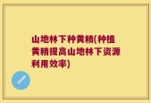 山地林下种黄精(种植黄精提高山地林下资源利用效率)