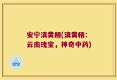 安宁滇黄精(滇黄精：云南瑰宝，神奇中药)