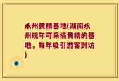 永州黄精基地(湖南永州现年可采摘黄精的基地，每年吸引游客到访)