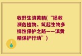 收野生滇黄精(“拯救濒危植物，筑起生物多样性保护之路——滇黄精保护行动”)