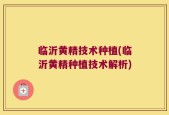 临沂黄精技术种植(临沂黄精种植技术解析)