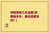 种植黄精几年结果(种黄精多年，最终结果如何？)