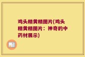 鸡头精黄精图片(鸡头精黄精图片：神奇的中药材展示)