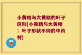 小黄精与大黄精的叶子区别(小黄精与大黄精：叶子形状不同的中药材)
